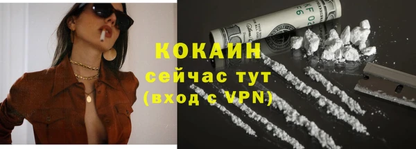 крисы Вяземский