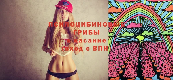 крисы Вяземский