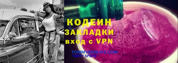 крисы Вяземский