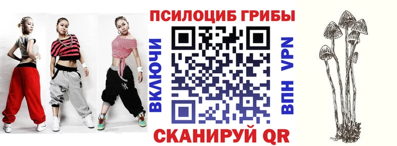 Псилоцибиновые грибы прущие грибы Купить Северобайкальск